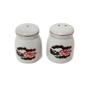 Vintage Collectible Ohio Souvenier Porcelain Salt & Pepper Shakers with Red Barn